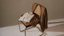 lanieri-media